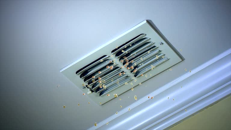 Best Home Air Vent Cleaning  in Elko New Market, MN