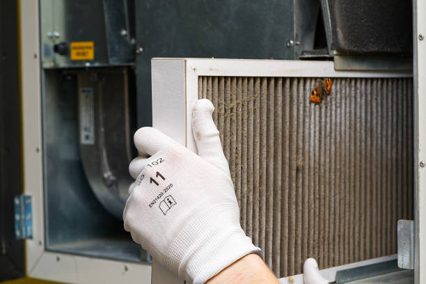 Best Affordable HVAC Duct Cleaning  in Elko New Market, MN