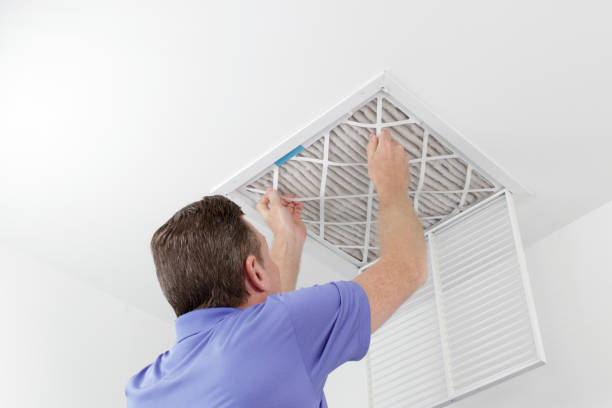 Best Air Vent Cleaning Services  in Elko New Market, MN